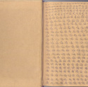 Thomas Pfeffer - Manuscript