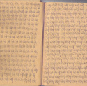 Thomas Pfeffer - Manuscript
