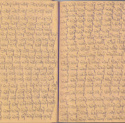 Thomas Pfeffer - Manuscript