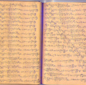 Thomas Pfeffer - Manuscript